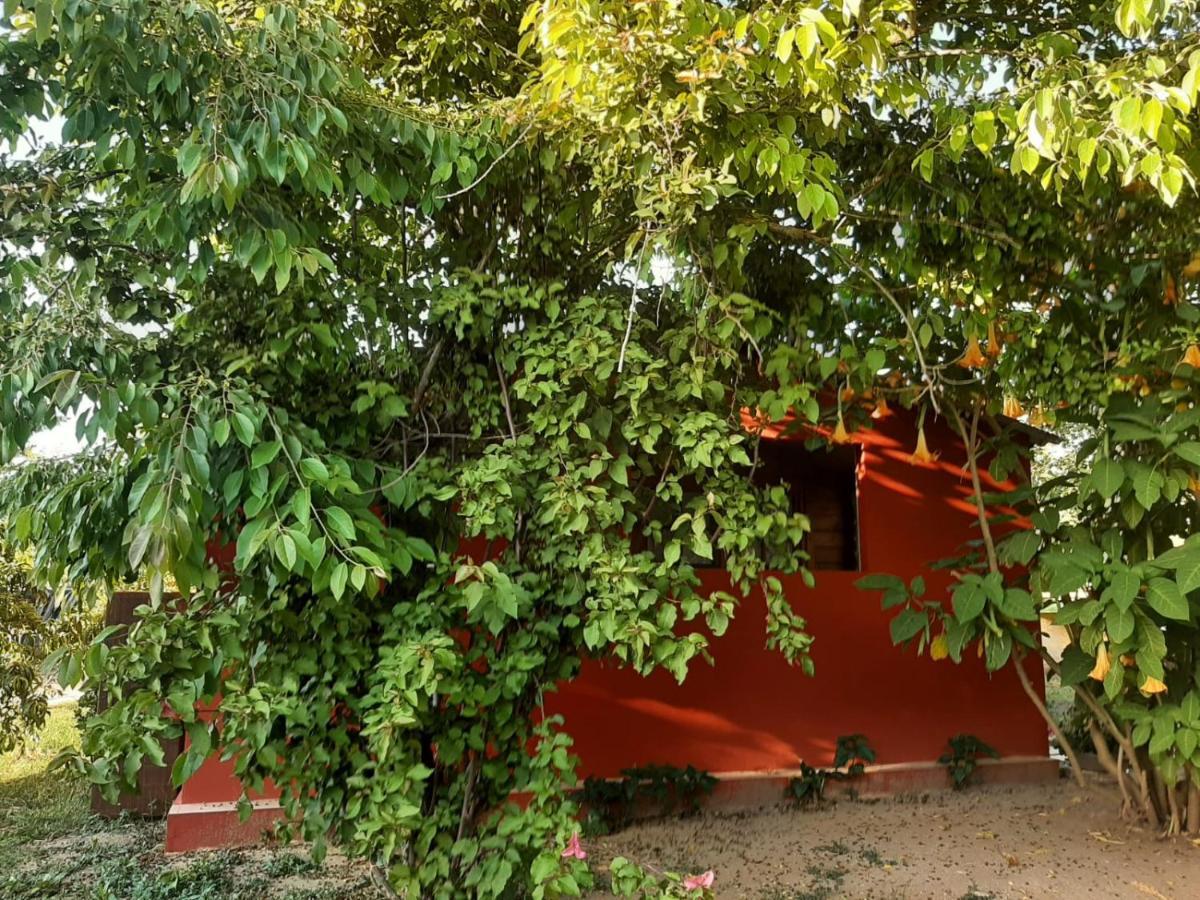 Casa Di Campagna Dal Pozzo Сорсо Экстерьер фото
